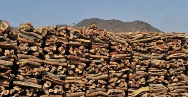 السماح باستيراد 10 آلاف طن من أحطاب التدفئة الجافة
