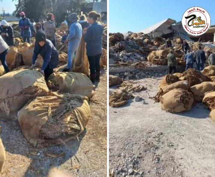 تبغ اللاذقية : تضرر مستودعين يضمان مليون و814 الف كيلو والعمل على سحب الكميات ومعالجتها